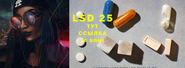 спайс Богданович