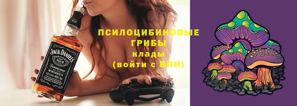 прущие грибы Богородск