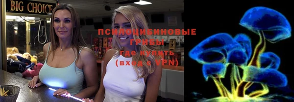 СК Богородицк