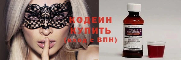 спиды Бикин