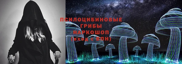 спайс Богданович