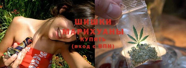 СК Богородицк